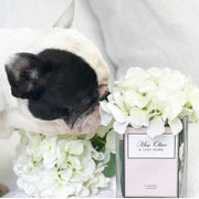 Personalised Glass Vase "Pastel Edition"