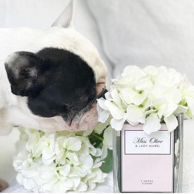 Personalised Glass Vase "Pastel Edition"