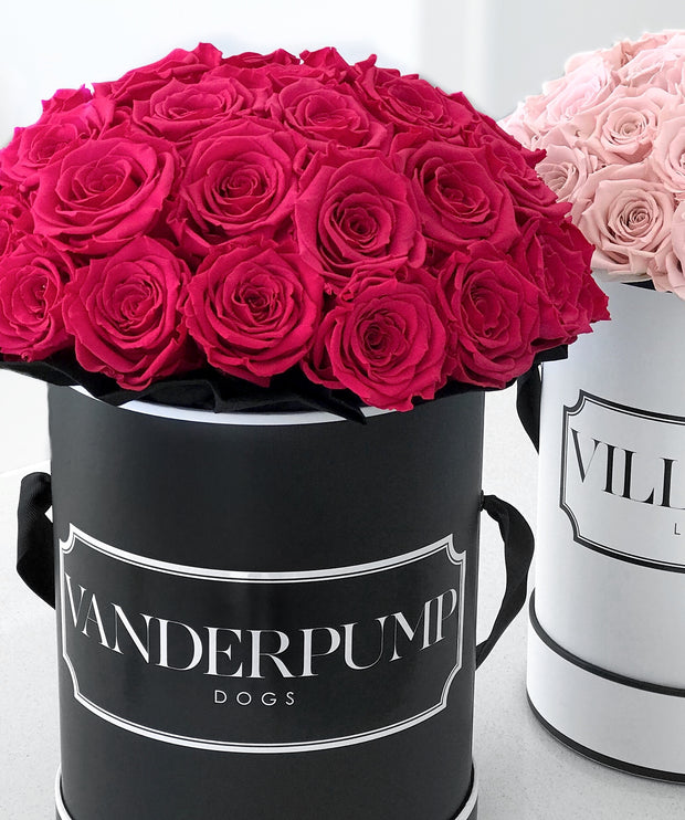 LASTING ROSES - Choose your colour.