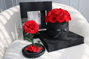 The Enchanted Rose Dome