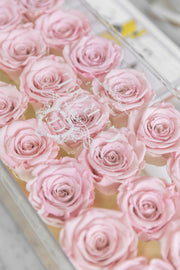 Large Acrylic Box with mirror base. Choose your rose colour