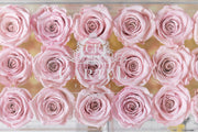 Large Acrylic Box with mirror base. Choose your rose colour