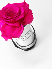 Cartel Mini + Lasting Eternity Rose (FREE Personalisation)