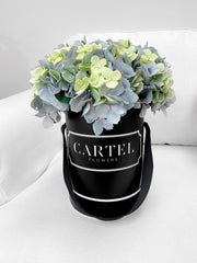 Scented Silk Hydrangeas Refill | Optional Box Add-On (Available Worldwide)