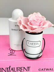 Cartel Mini + Lasting Eternity Rose (FREE Personalisation)